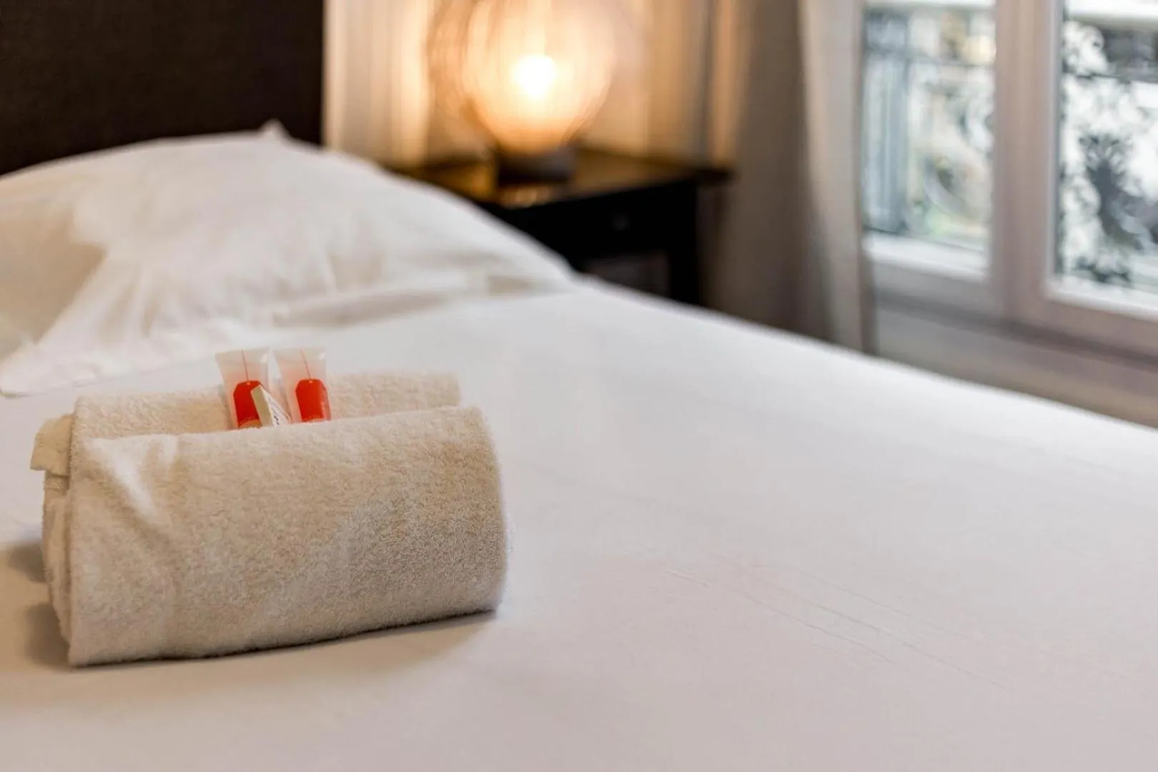 Apartamento The Charming, Comfortable Charlemagne Ail Lyon Francia